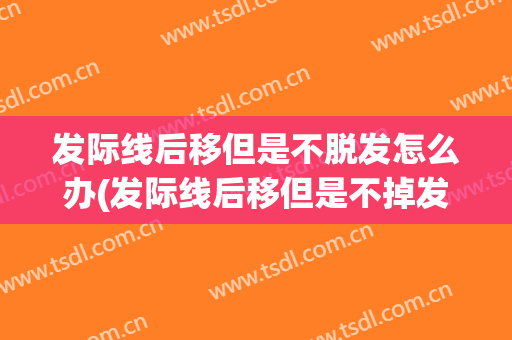 发际线后移但是不脱发怎么办(发际线后移但是不掉发)