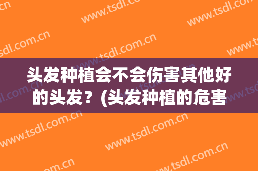 头发种植会不会伤害其他好的头发？(头发种植的危害很大吗)
