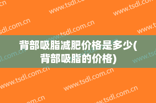 背部吸脂减肥价格是多少(背部吸脂的价格)