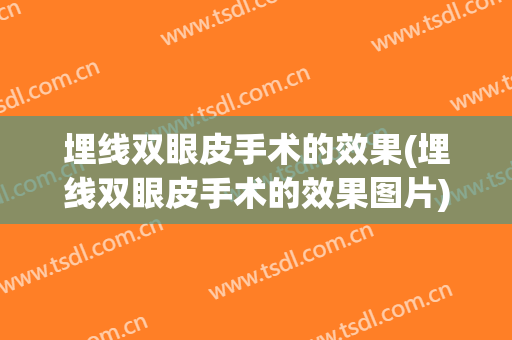埋线双眼皮手术的效果(埋线双眼皮手术的效果图片)