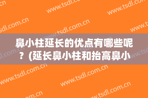 鼻小柱延长的优点有哪些呢？(延长鼻小柱和抬高鼻小柱的区别)