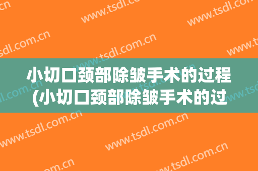 小切口颈部除皱手术的过程(小切口颈部除皱手术的过程多久)