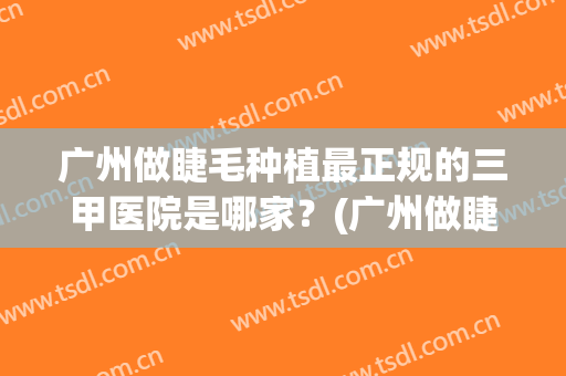 广州做睫毛种植最正规的三甲医院是哪家？(广州做睫毛种植最正规的三甲医院是哪家呢)