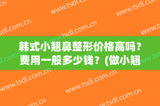 韩式小翘鼻整形价格高吗？费用一般多少钱？(做小翘鼻多少钱)