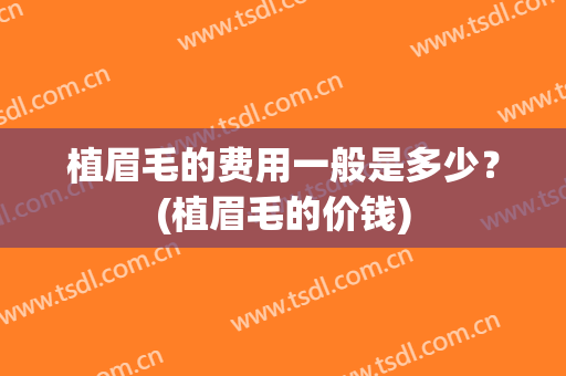 植眉毛的费用一般是多少？(植眉毛的价钱)