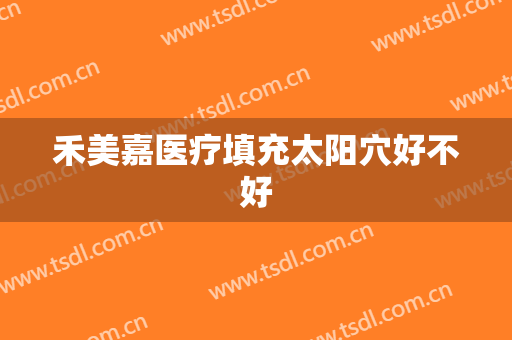 禾美嘉医疗填充太阳穴好不好