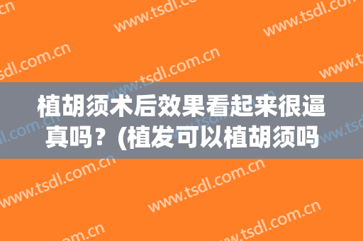 植胡须术后效果看起来很逼真吗？(植发可以植胡须吗?)