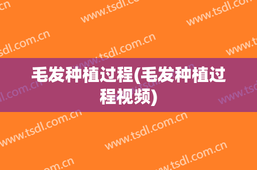 毛发种植过程(毛发种植过程视频)