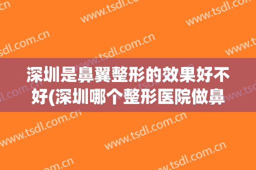 深圳是鼻翼整形的效果好不好(深圳哪个整形医院做鼻子做的比较好)