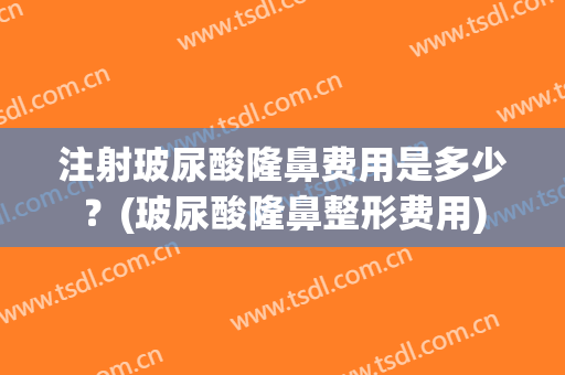 注射玻尿酸隆鼻费用是多少？(玻尿酸隆鼻整形费用)