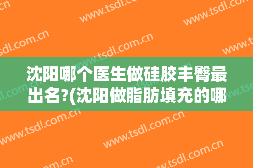 沈阳哪个医生做硅胶丰臀最出名?(沈阳做脂肪填充的哪家最好)