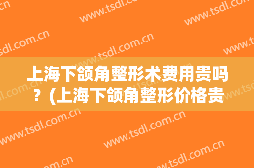 上海下颌角整形术费用贵吗？(上海下颌角整形价格贵吗)