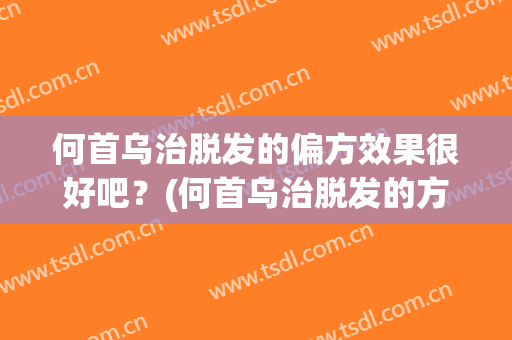 何首乌治脱发的偏方效果很好吧？(何首乌治脱发的方子)