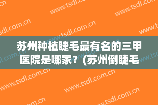 苏州种植睫毛最有名的三甲医院是哪家？(苏州倒睫毛手术哪家医院好)