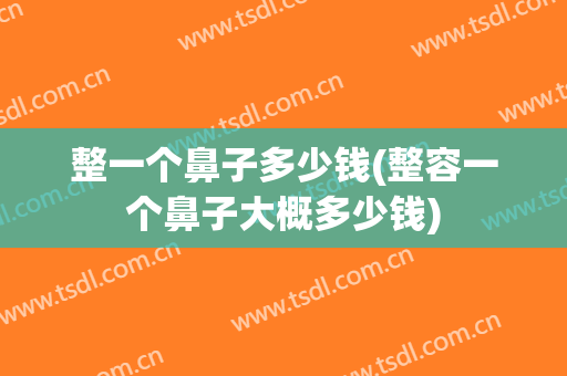 整一个鼻子多少钱(整容一个鼻子大概多少钱)