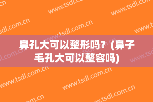 鼻孔大可以整形吗？(鼻子毛孔大可以整容吗)