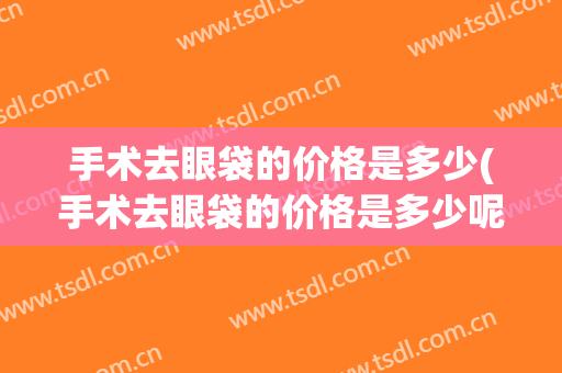 手术去眼袋的价格是多少(手术去眼袋的价格是多少呢)