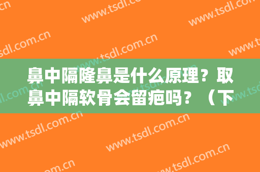 鼻中隔隆鼻是什么原理？取鼻中隔软骨会留疤吗？（下）(鼻中隔可以取软骨做鼻子吗)