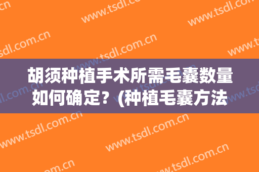 胡须种植手术所需毛囊数量如何确定？(种植毛囊方法)