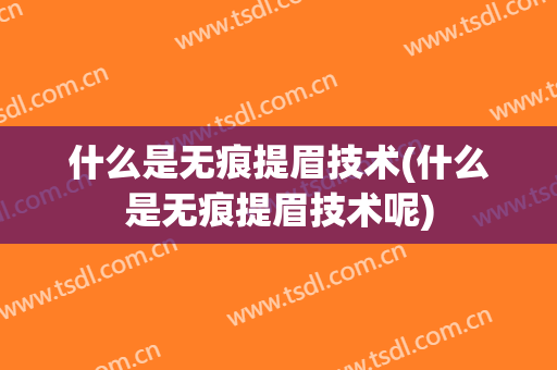 什么是无痕提眉技术(什么是无痕提眉技术呢)