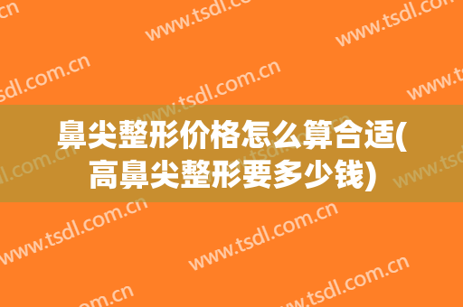 鼻尖整形价格怎么算合适(高鼻尖整形要多少钱)