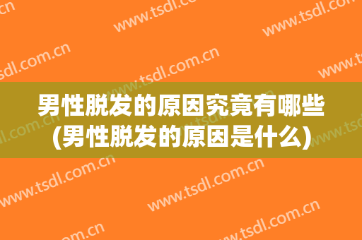 男性脱发的原因究竟有哪些(男性脱发的原因是什么)