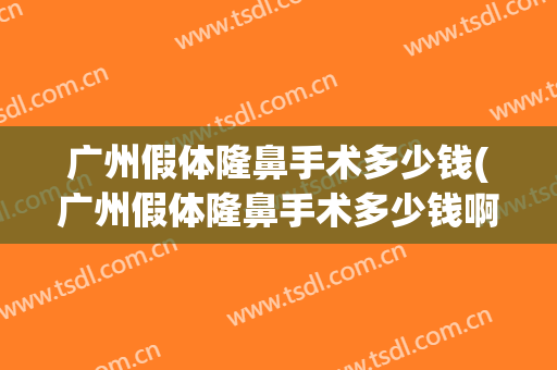 广州假体隆鼻手术多少钱(广州假体隆鼻手术多少钱啊)