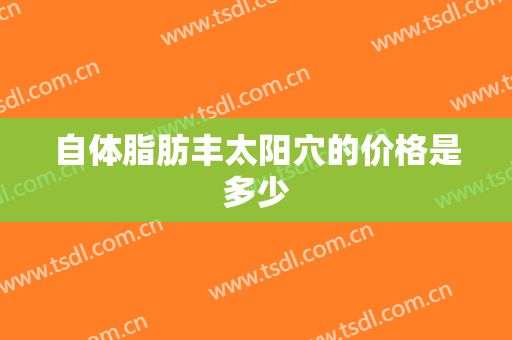 自体脂肪丰太阳穴的价格是多少