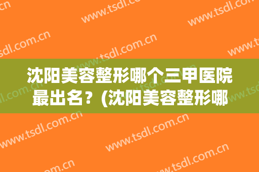 沈阳美容整形哪个三甲医院最出名？(沈阳美容整形哪个三甲医院最出名的)