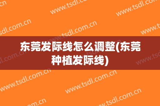 东莞发际线怎么调整(东莞种植发际线)