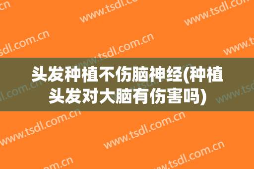 头发种植不伤脑神经(种植头发对大脑有伤害吗)