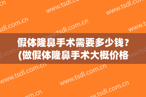 假体隆鼻手术需要多少钱？(做假体隆鼻手术大概价格多少)