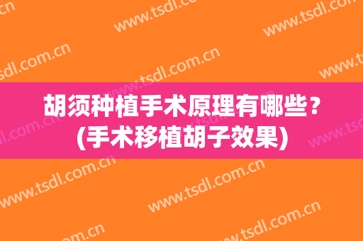 胡须种植手术原理有哪些？(手术移植胡子效果)