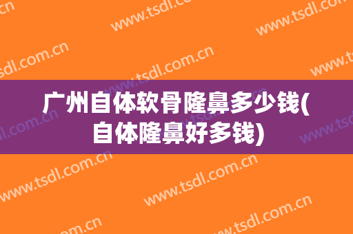 广州自体软骨隆鼻多少钱(自体隆鼻好多钱)