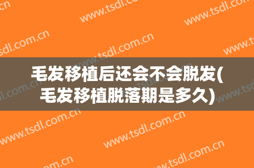 毛发移植后还会不会脱发(毛发移植脱落期是多久)