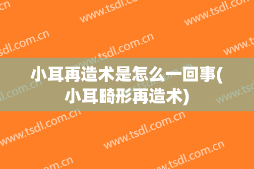 小耳再造术是怎么一回事(小耳畸形再造术)