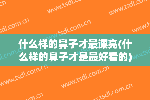 什么样的鼻子才最漂亮(什么样的鼻子才是最好看的)