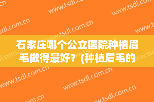 石家庄哪个公立医院种植眉毛做得最好？(种植眉毛的效果怎么样)