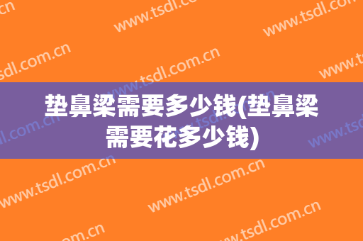垫鼻梁需要多少钱(垫鼻梁需要花多少钱)