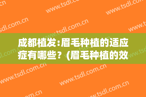 成都植发:眉毛种植的适应症有哪些？(眉毛种植的效果)