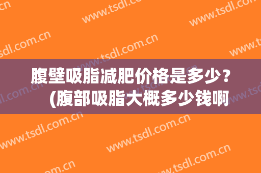 腹壁吸脂减肥价格是多少？　(腹部吸脂大概多少钱啊)