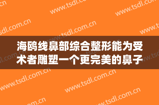 海鸥线鼻部综合整形能为受术者雕塑一个更完美的鼻子吗？(隆鼻海鸥线)