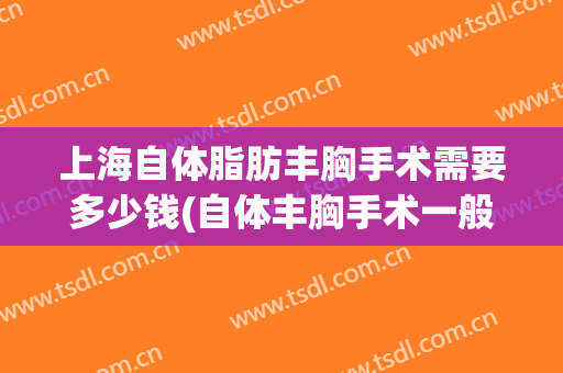 上海自体脂肪丰胸手术需要多少钱(自体丰胸手术一般多少钱)