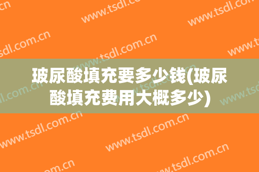 玻尿酸填充要多少钱(玻尿酸填充费用大概多少)