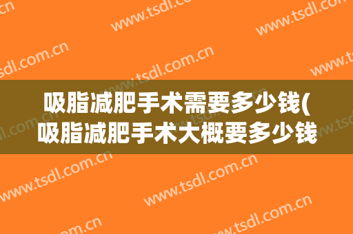 吸脂减肥手术需要多少钱(吸脂减肥手术大概要多少钱)