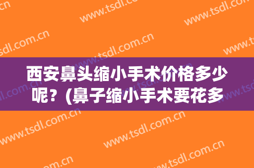 西安鼻头缩小手术价格多少呢？(鼻子缩小手术要花多少钱)