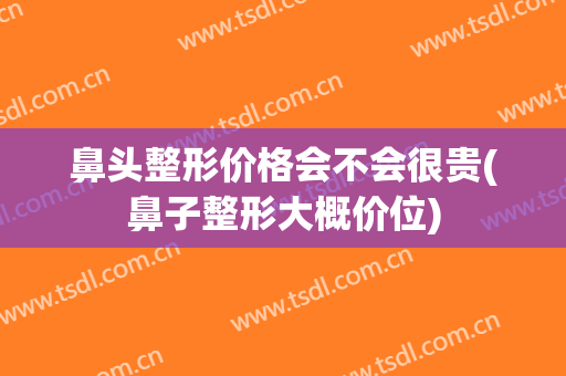 鼻头整形价格会不会很贵(鼻子整形大概价位)