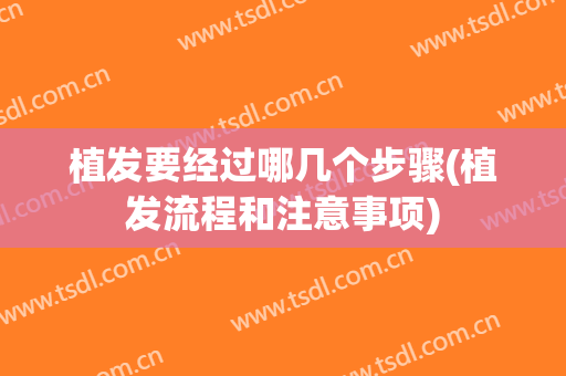 植发要经过哪几个步骤(植发流程和注意事项)