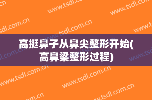 高挺鼻子从鼻尖整形开始(高鼻梁整形过程)