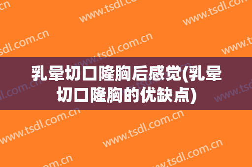 乳晕切口隆胸后感觉(乳晕切口隆胸的优缺点)